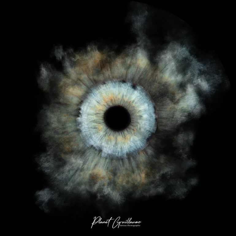 photo de votre Iris en studio photo au studio guillaume planat photographe à Lattes près de montpellier