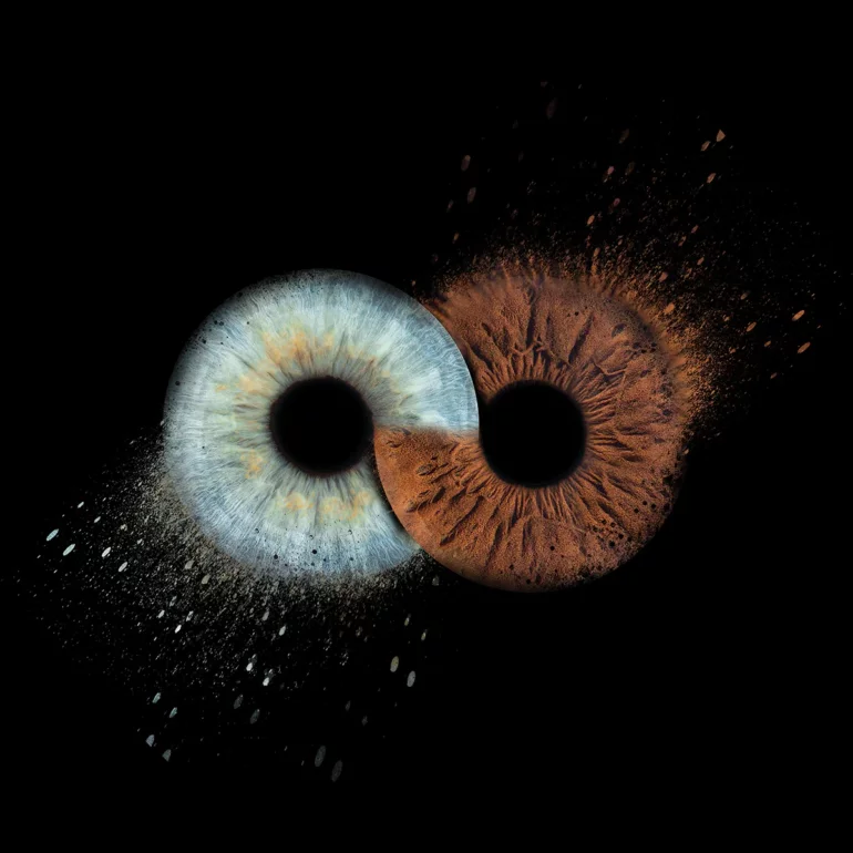 photo de votre Iris en studio photo au studio guillaume planat photographe à Lattes près de montpellier