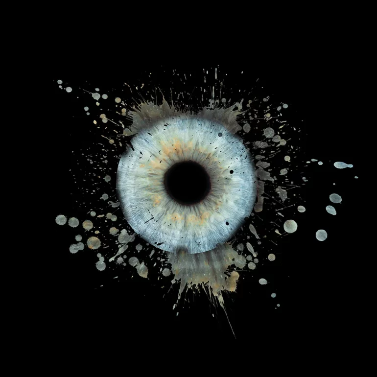 photo de votre Iris en studio photo au studio guillaume planat photographe à Lattes près de montpellier