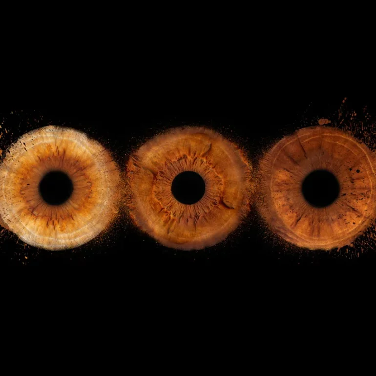 photo Iris studio guillaume planat photographe à Lattes près de montpellier